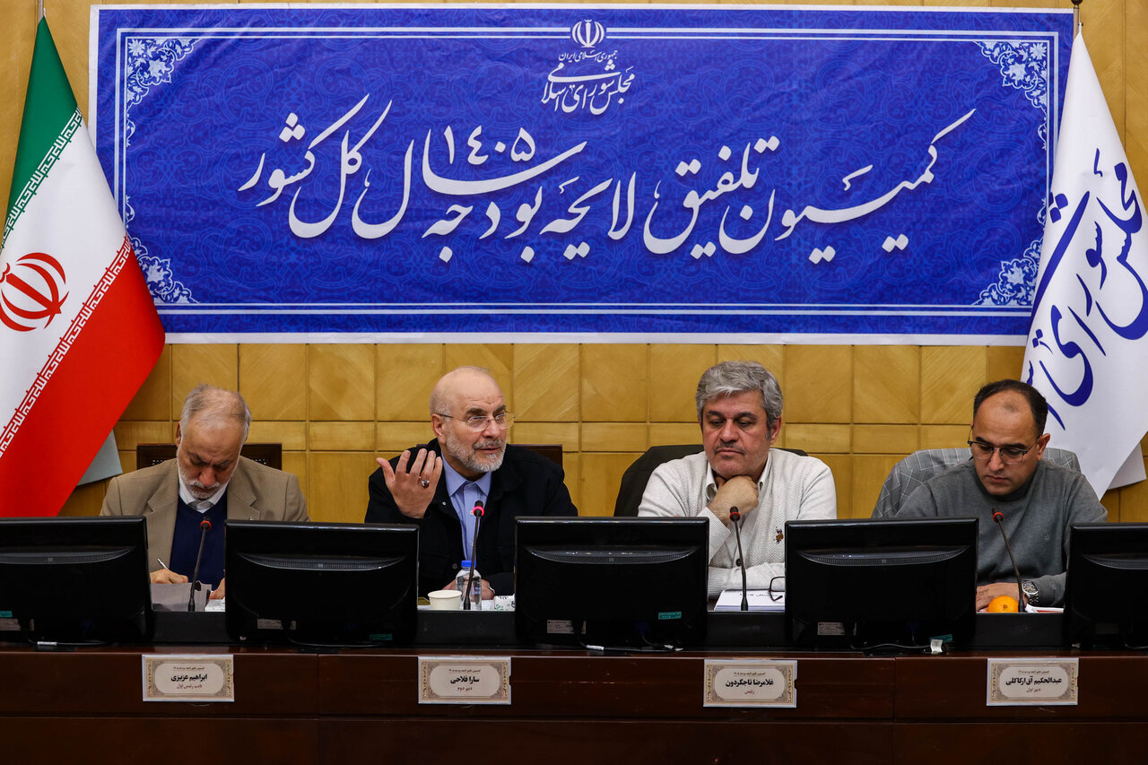 نشست اعضای کمیسیون تلفیق با رئیس مجلس