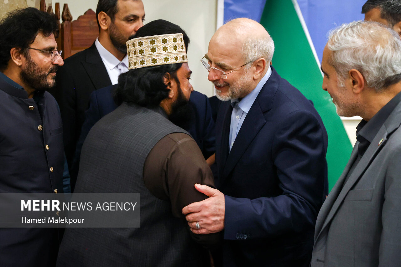 دومین روز سفر رئیس مجلس به پاکستان