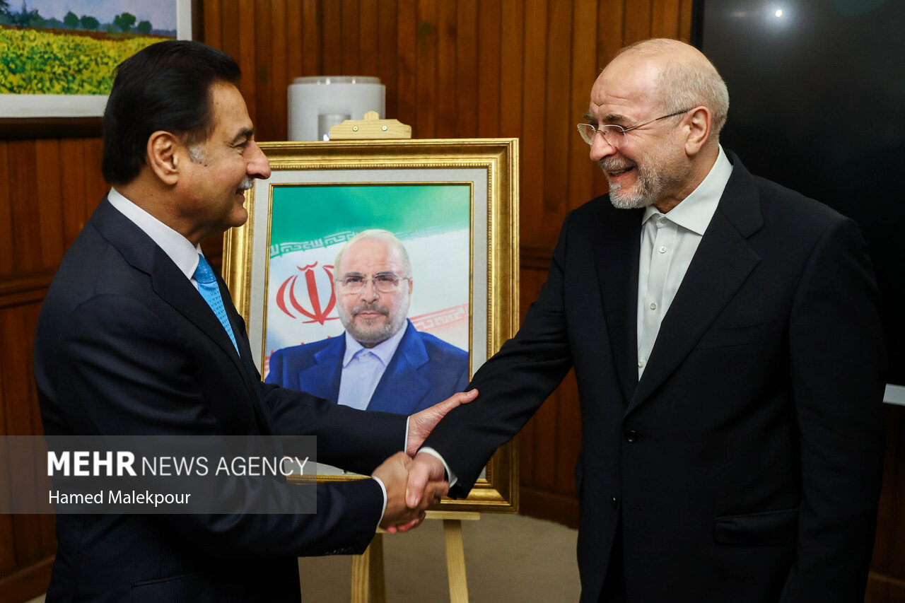 اولین روز سفر رئیس مجلس به پاکستان