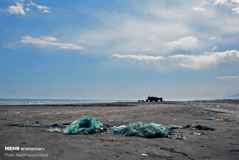 تورهای غیر مجاز ماهیگیری 