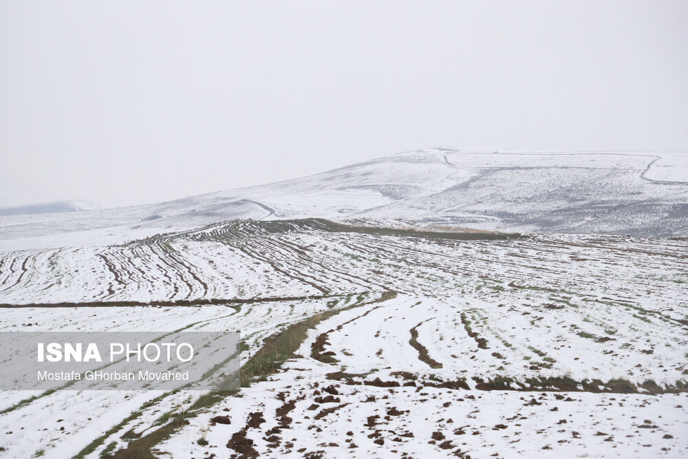 بارش برف بهاری - اهر