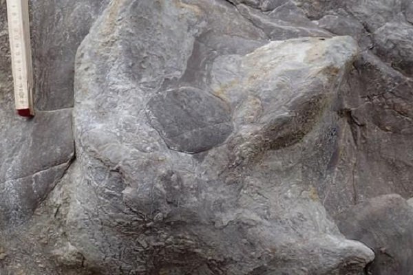 توفان جای پای ۱۰۰ میلیون ساله دایناسورها را رو کرد +عکس