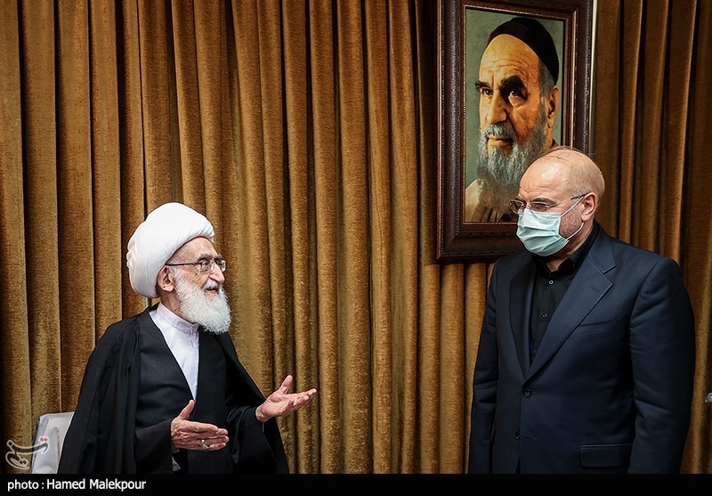 دیدار رئیس مجلس با مراجع عظام تقلید - قم