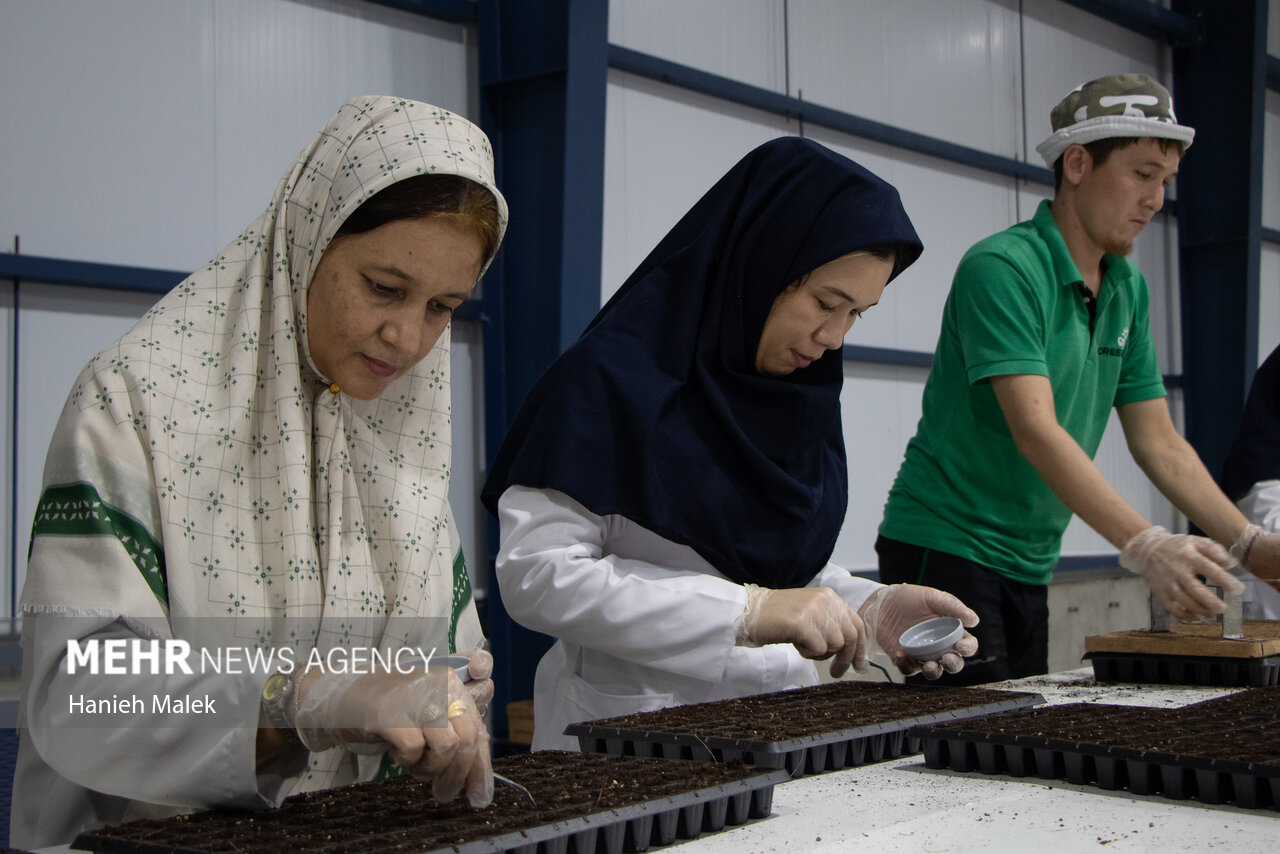 وزیر جهادکشاورزی