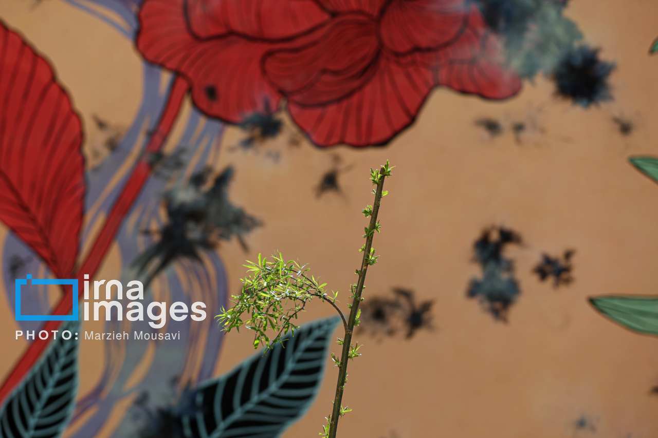 آثار بجا مانده از چهارشنبه سوری