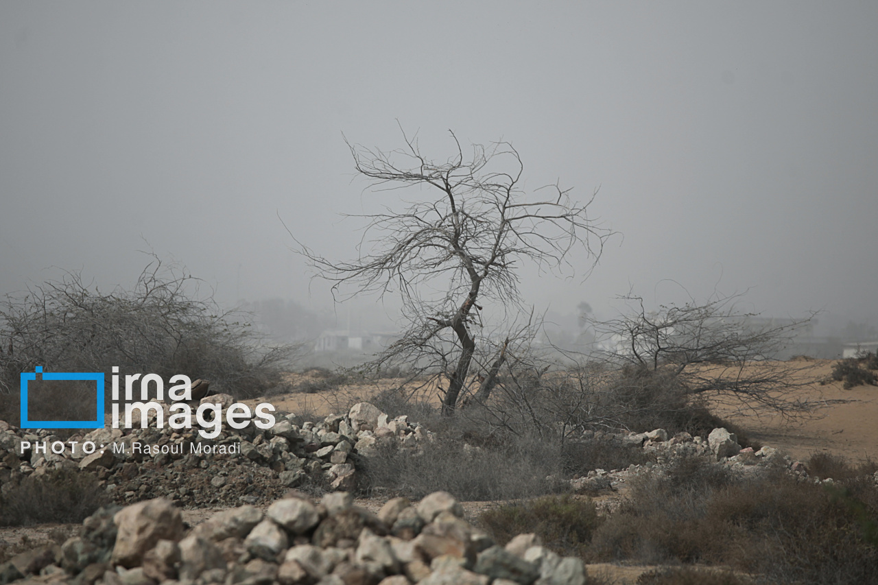 آلودگی هوا در بندرعباس