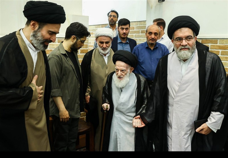 دیدار رئیس مجلس با آیت‌الله شبیری زنجانی