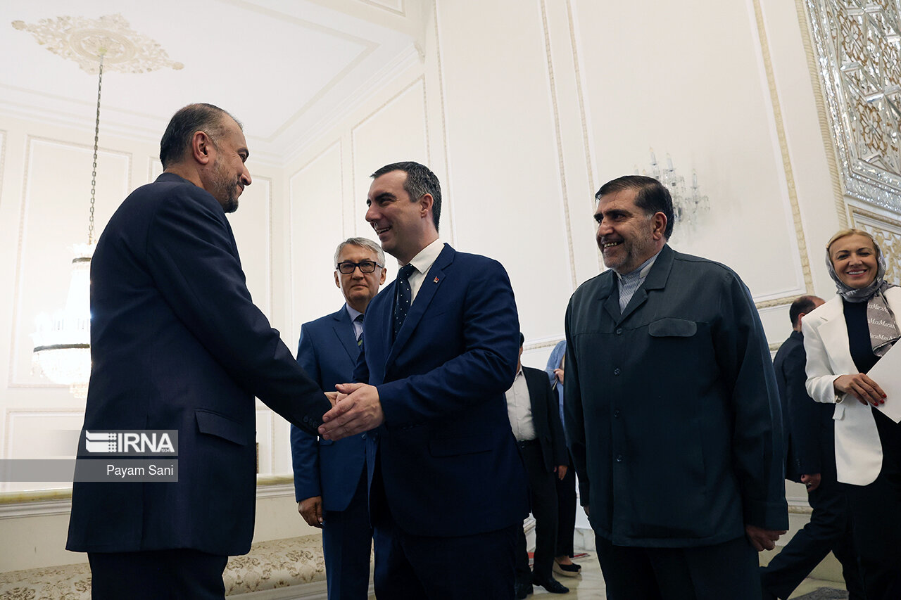 دیدار رییس مجلس صربستان با وزیر خارجه