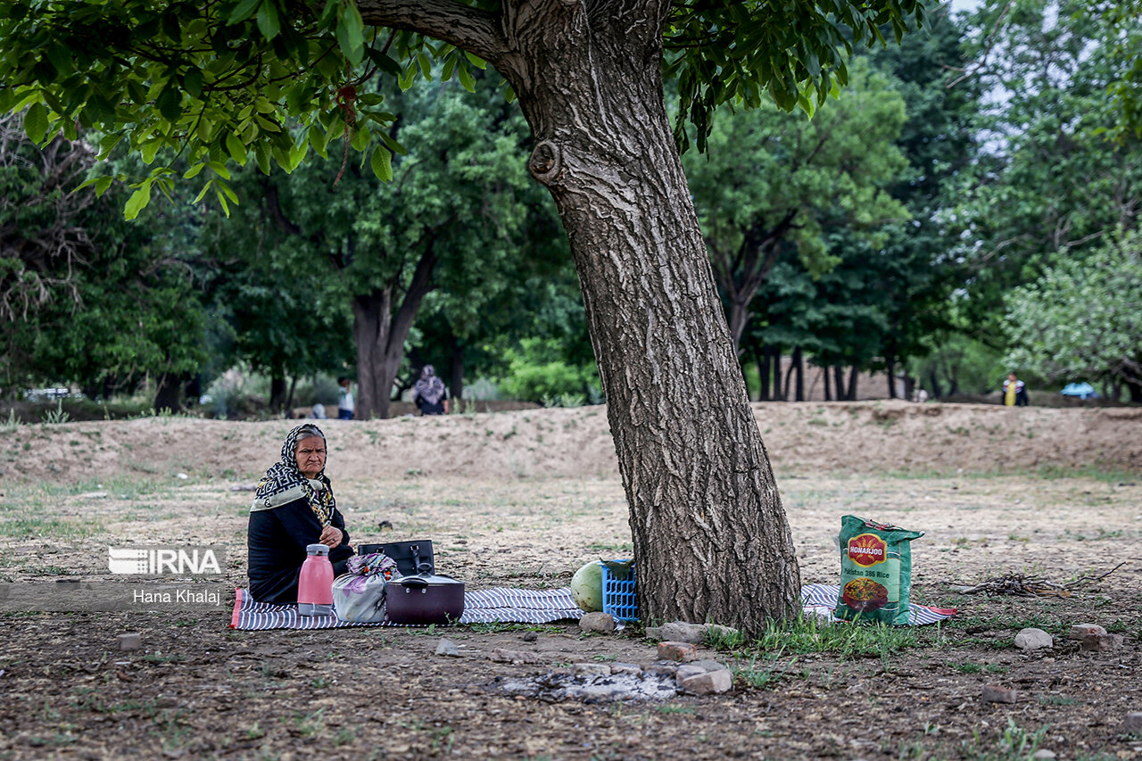 آیین سنتی « پنجاه بدر» 