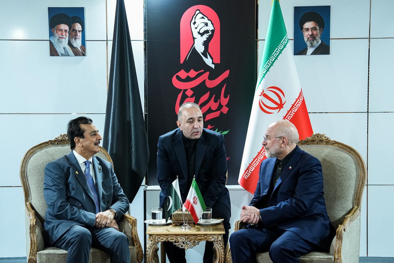 دیدار رئیس مجلس سنای پاکستان با قالیباف