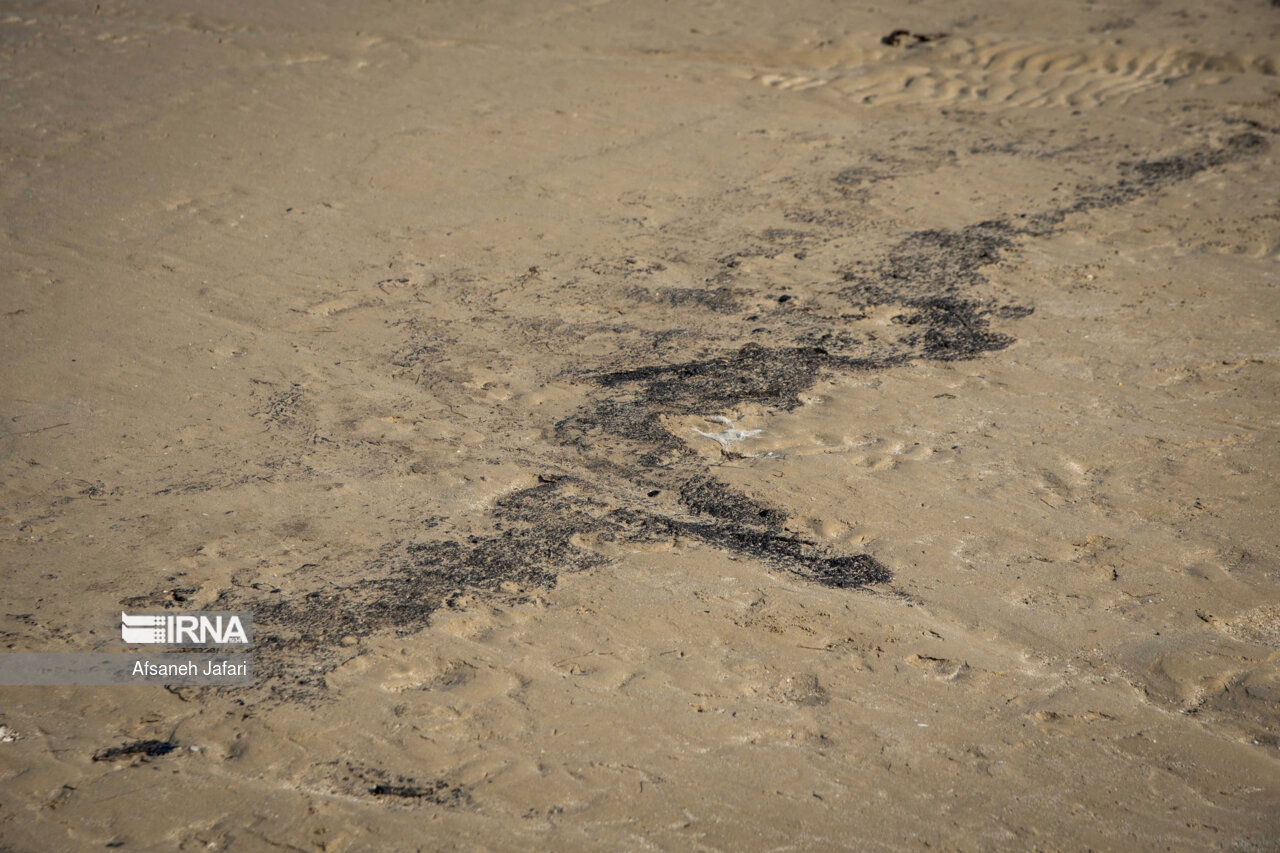 آلودگی نفتی در ساحل بندر گناوه