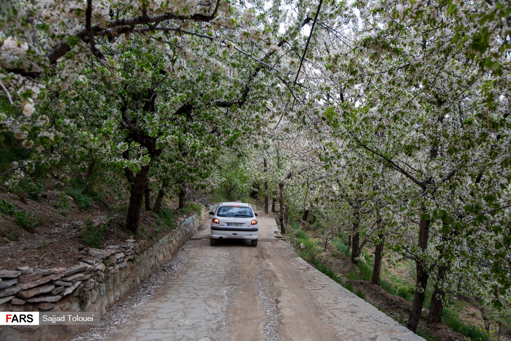 روستای تالون