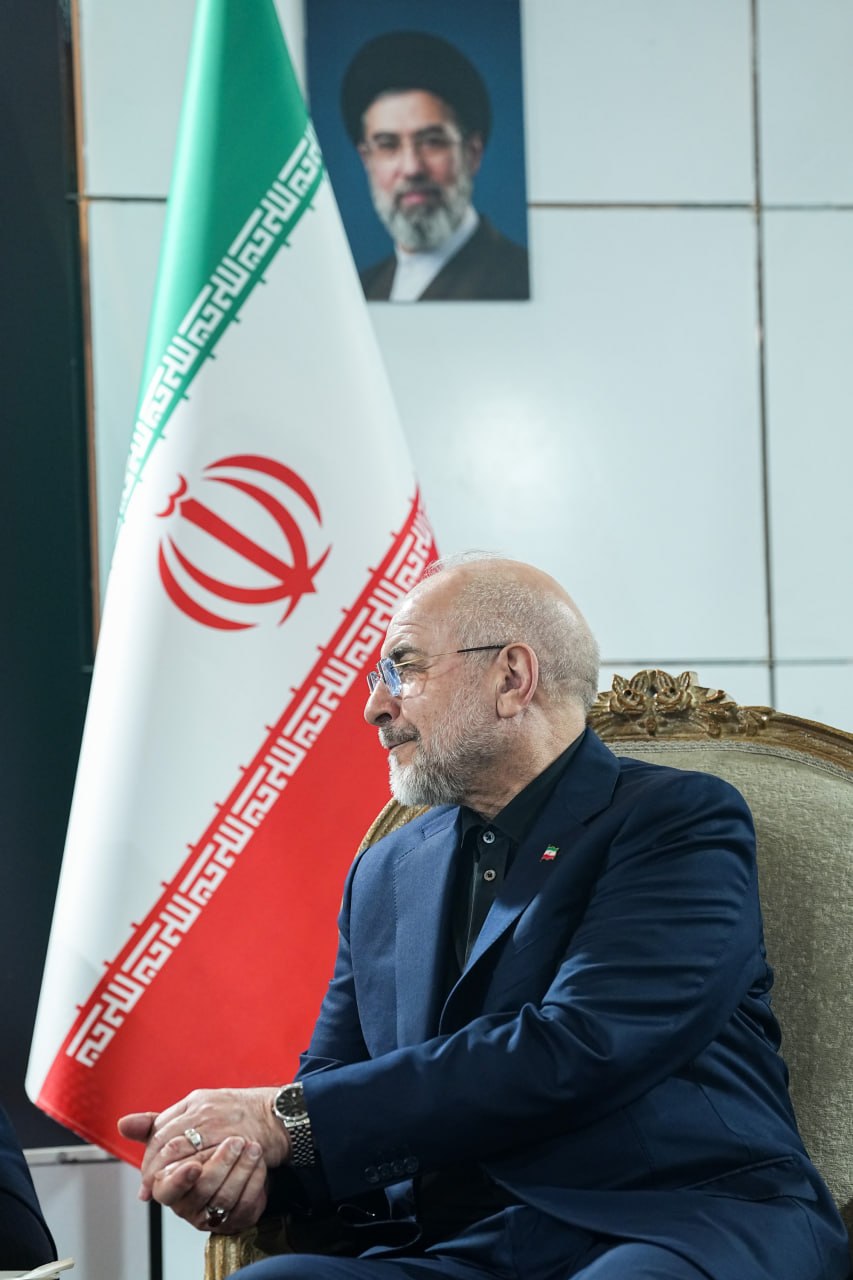 دیدار رئیس مجلس سنای پاکستان با قالیباف