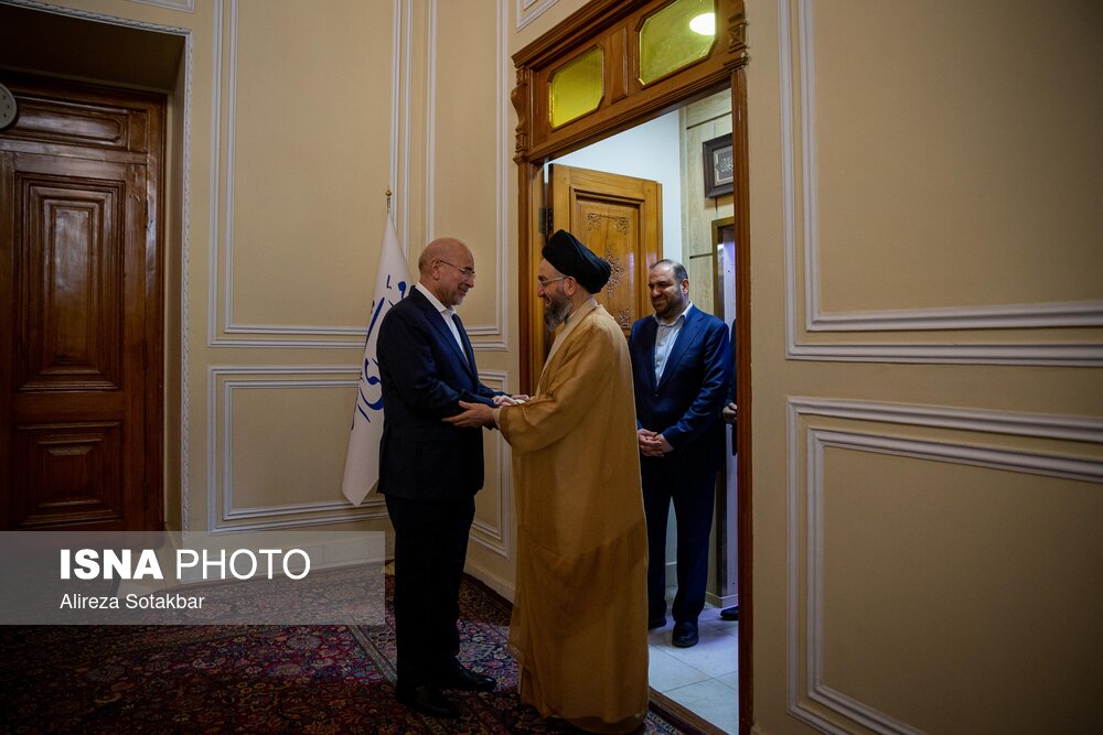 دیدار سیدعمار حکیم با رئیس مجلس