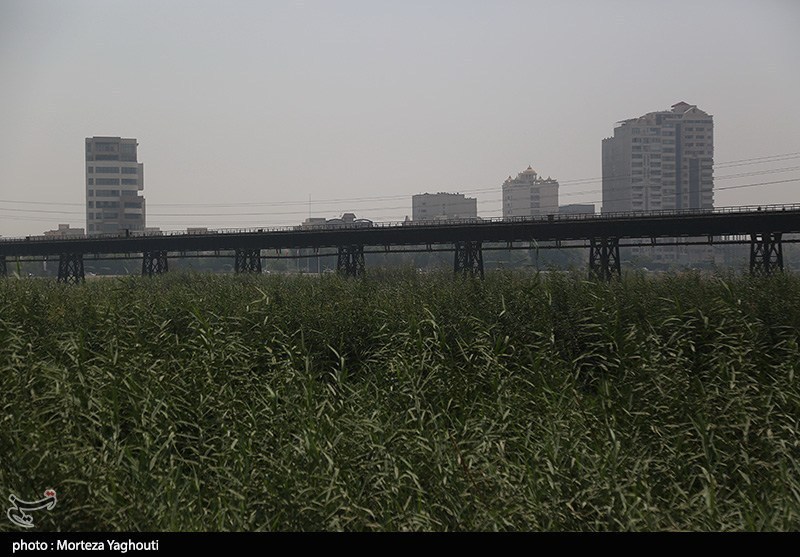 آلودگی هوای اهواز