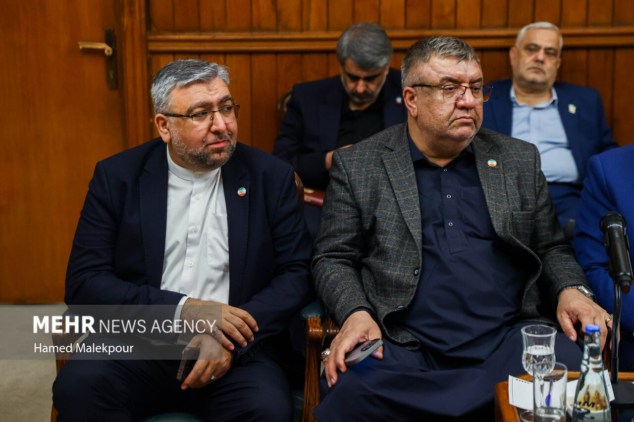 اولین روز سفر رئیس مجلس به پاکستان