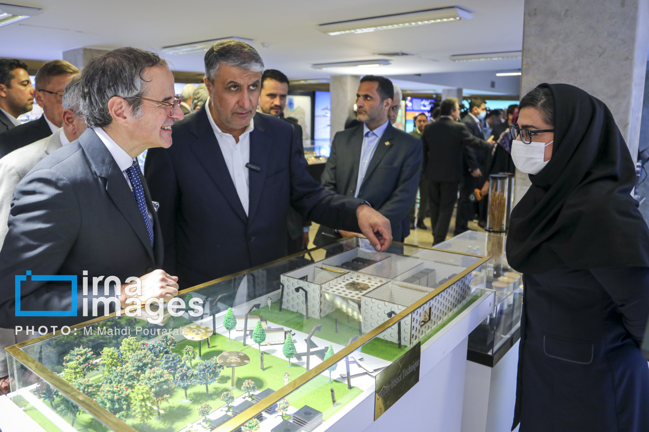 دیدار مدیر کل آژانس با رئیس سازمان انرژی اتمی