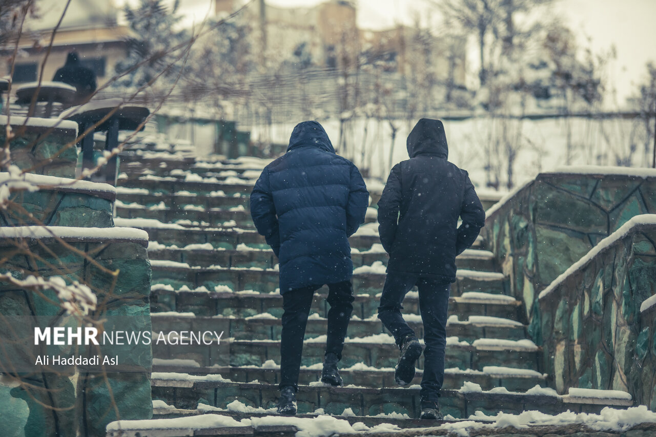 بارش اولین برف زمستانی
