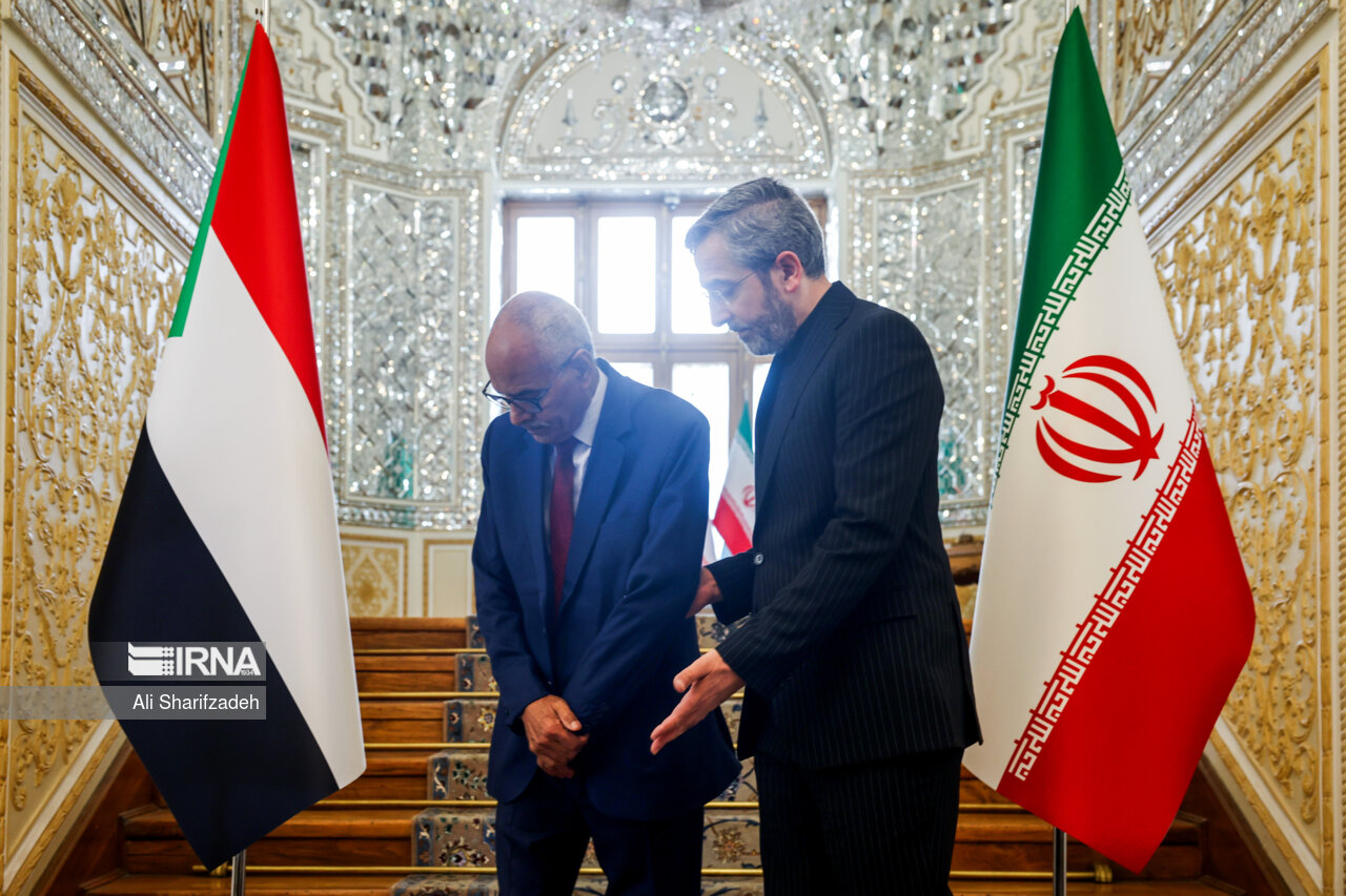 دیدار وزیر خارجه تونس با سرپرست وزارت خارجه