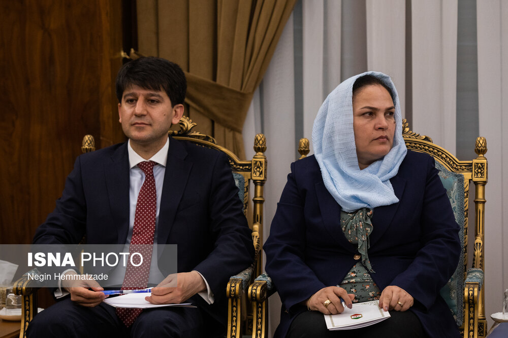 دیدار وزیر انرژی تاجیکستان با معاون اول رئیس جمهور