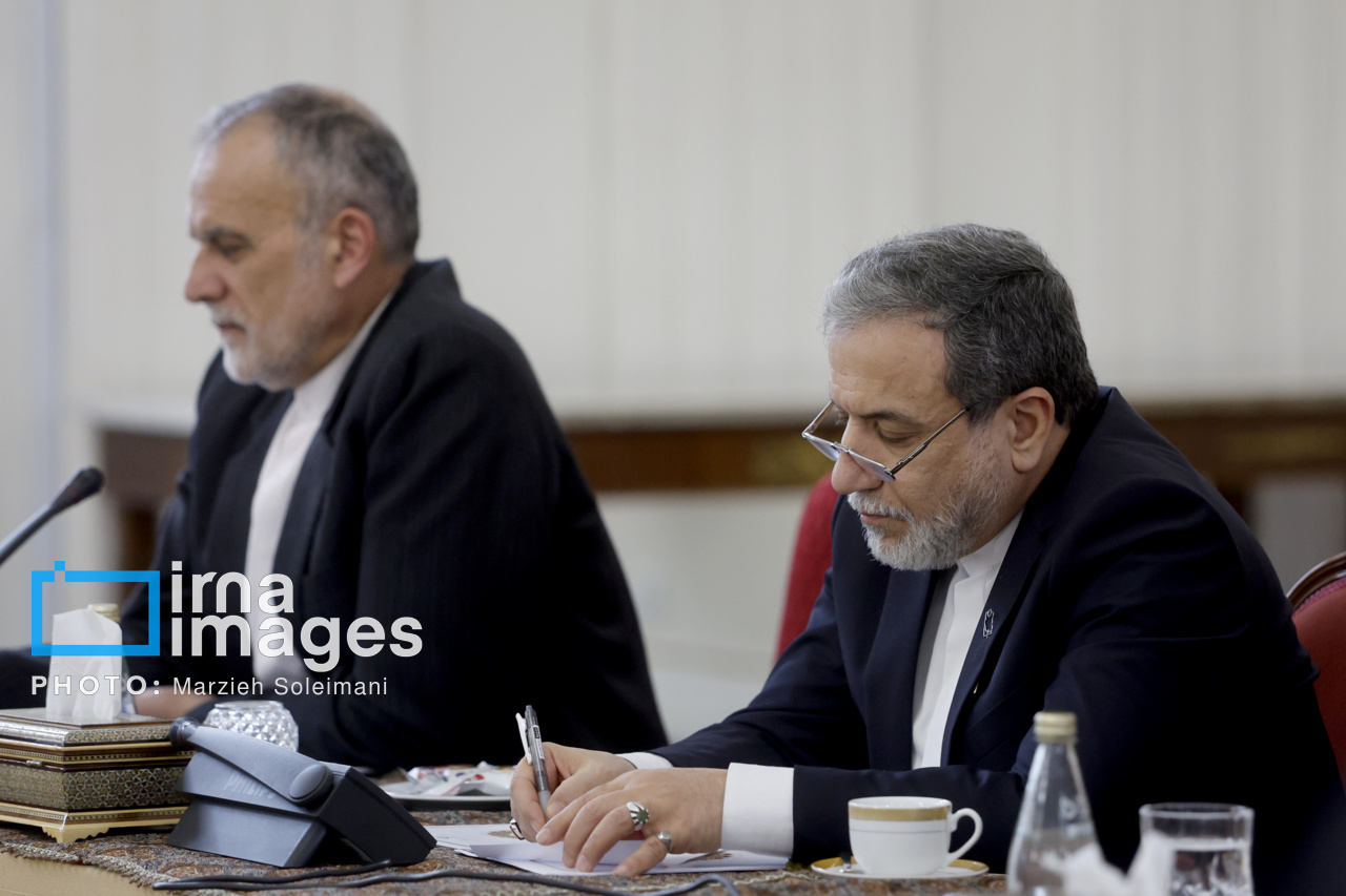 جلسه ستاد هماهنگی روابط اقتصادی خارجی با حضور عارف