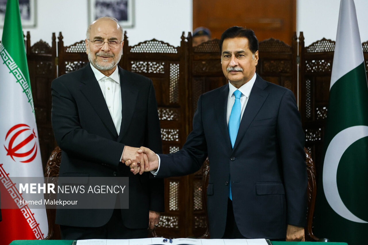 اولین روز سفر رئیس مجلس به پاکستان