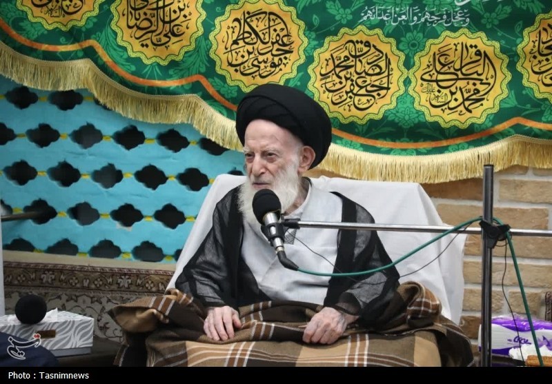 دیدار رئیس مجلس با آیت‌الله شبیری زنجانی