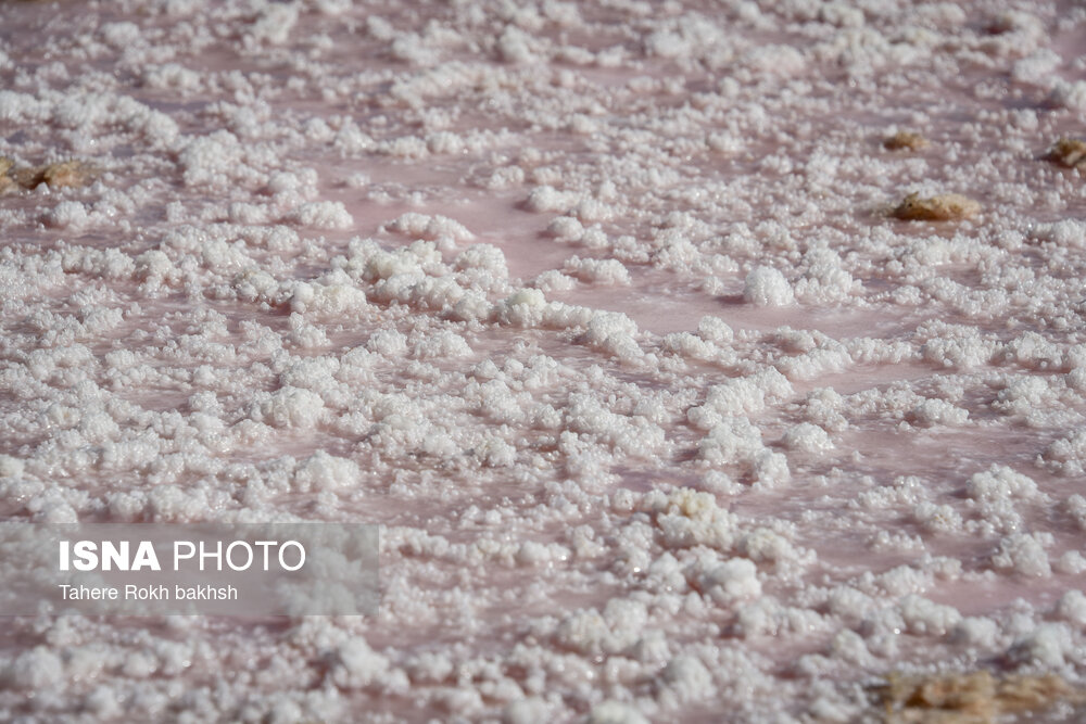 تصاویر: خشک شدن دریاچه مهارلو - شیراز