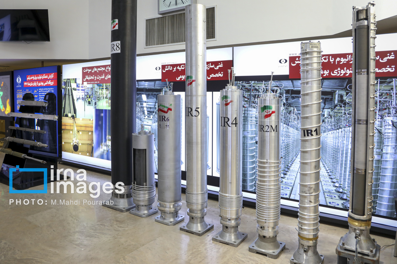 دیدار مدیر کل آژانس با رئیس سازمان انرژی اتمی