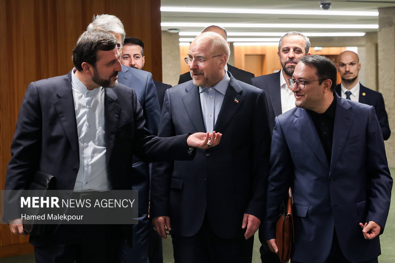 دومین روز سفر رئیس مجلس به ژنو