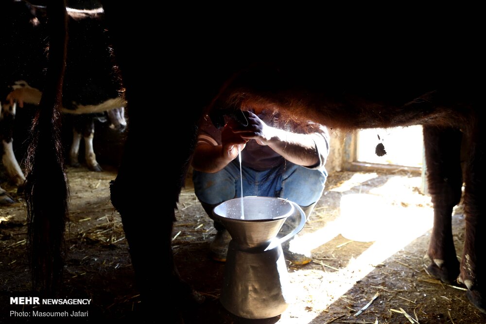 زندگی در روستای «ازآنده»