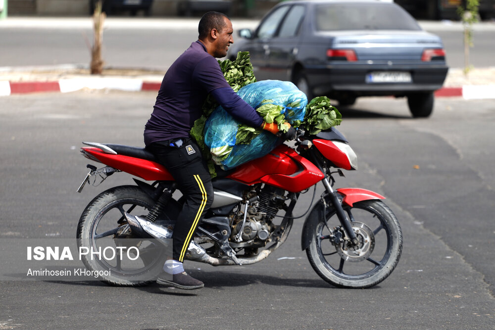 تره بار بندرعباس
