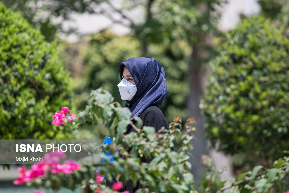 جلسه هیات دولت 