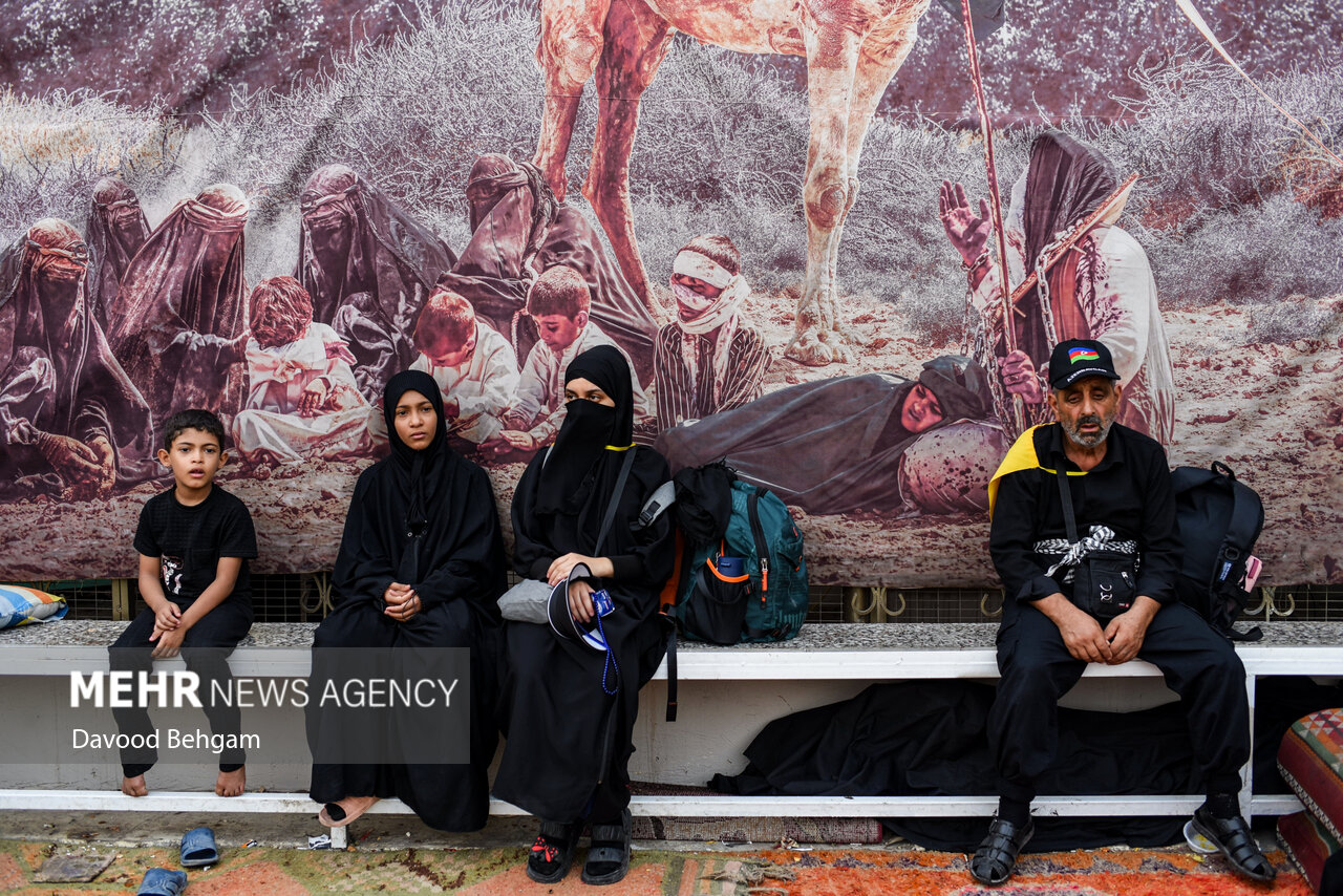 پیاده‌روی اربعین در طریق الحسین (ع)