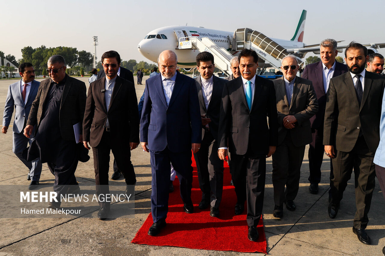 اولین روز سفر رئیس مجلس به پاکستان