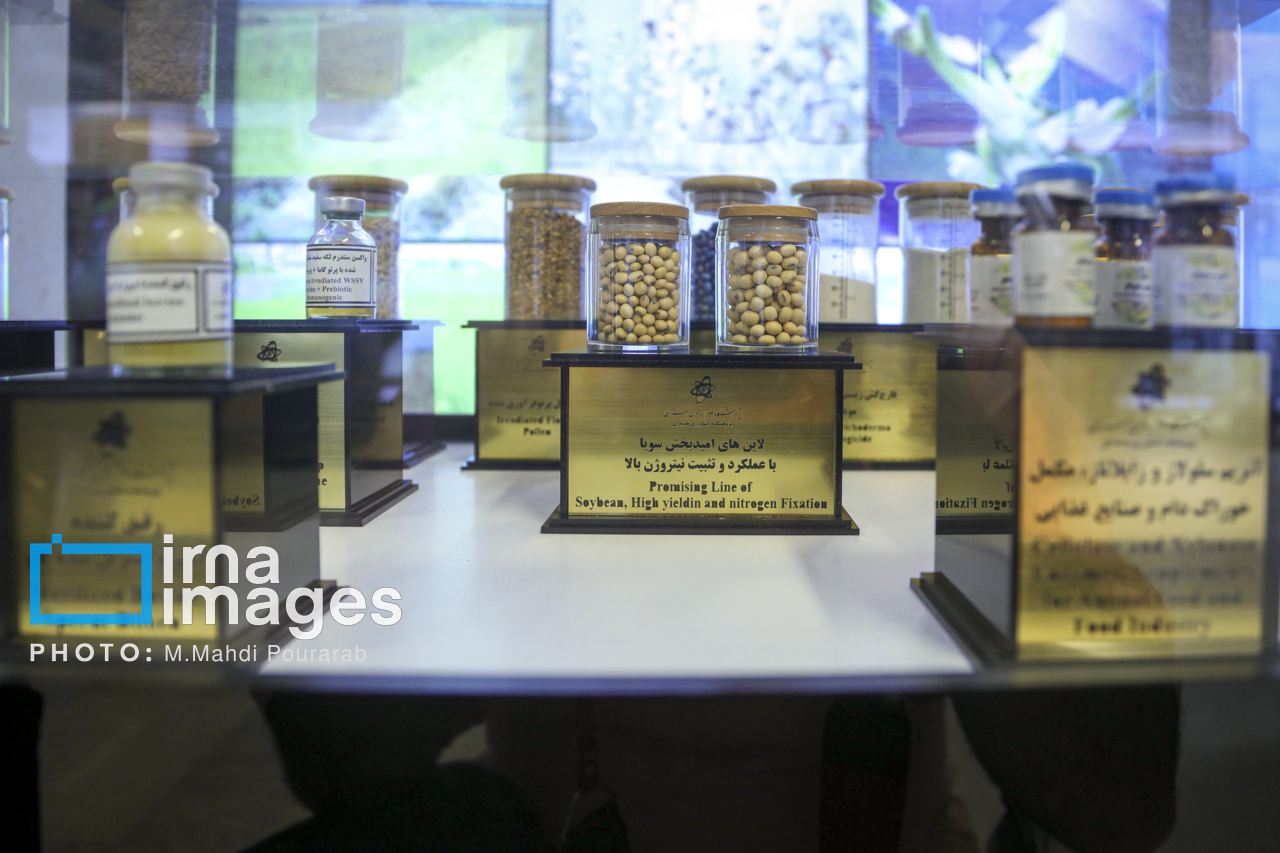 دیدار مدیر کل آژانس با رئیس سازمان انرژی اتمی