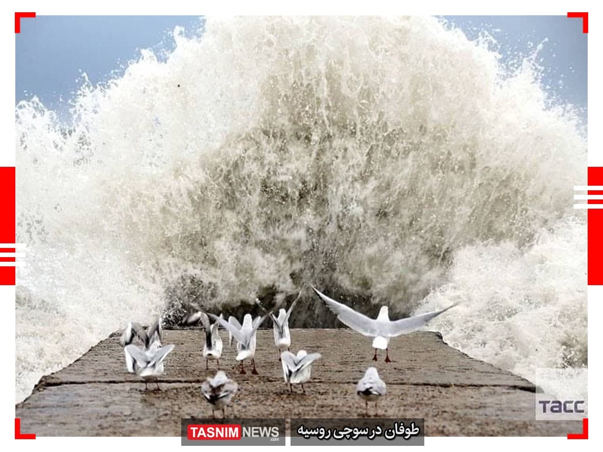 دیدنی‌ترین عکس‌های جهان