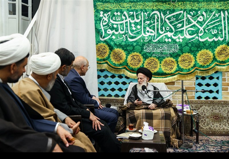 دیدار رئیس مجلس با آیت‌الله شبیری زنجانی