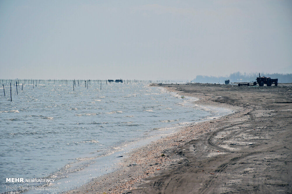 تورهای غیر مجاز ماهیگیری 