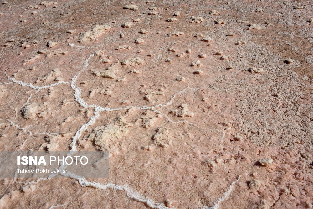 خشک شدن دریاچه مهارلو