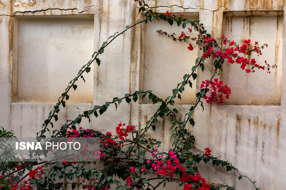 کوچه‌های آشتی‌کنان