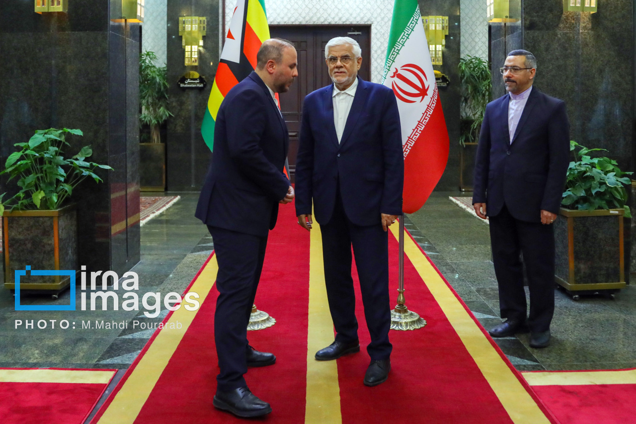 دیدار معاونین اول روسای جمهور ایران و زیمبابوه