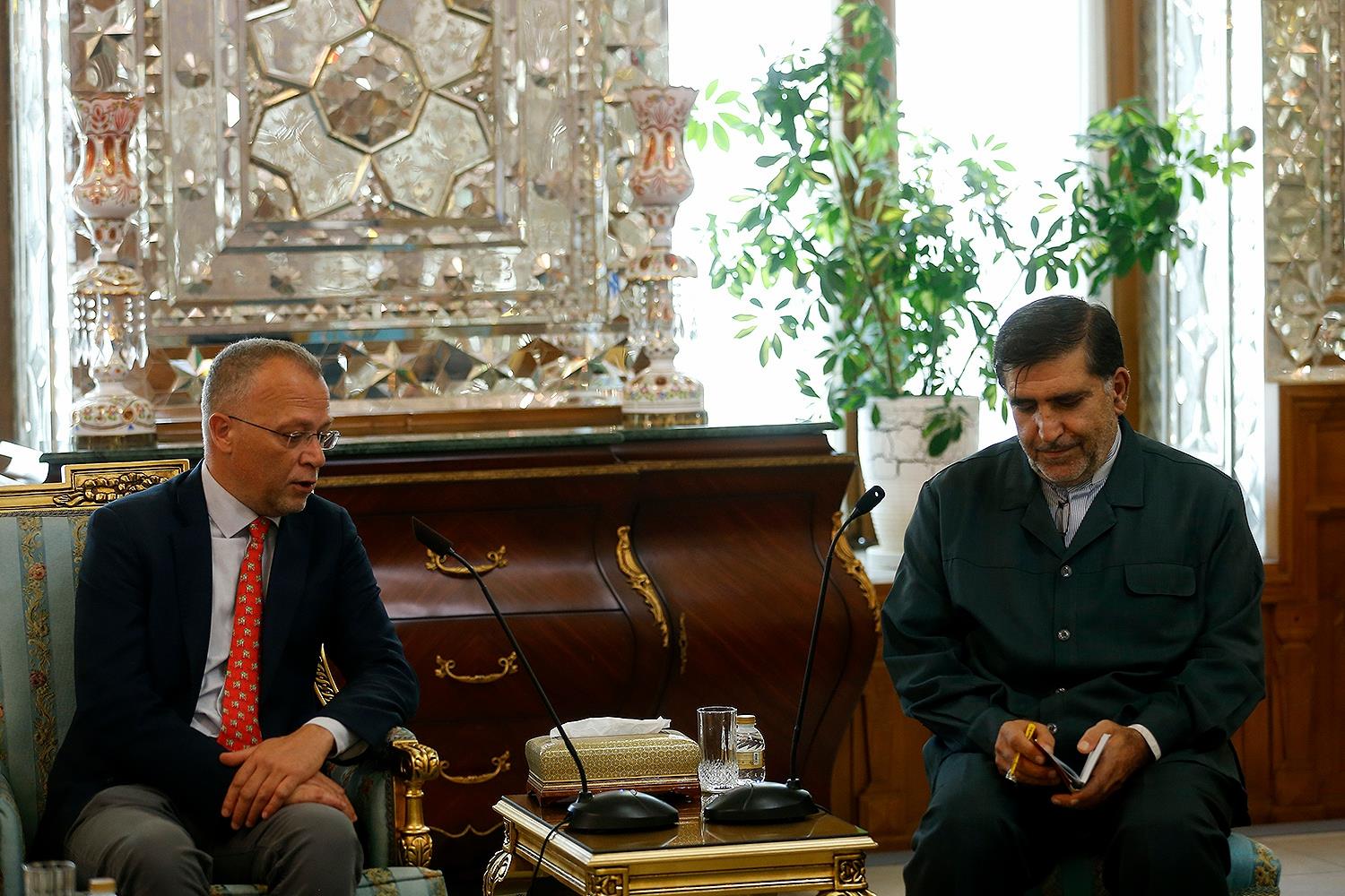 دیدار رئیس گروه دوستی پارلمانی کرواسی و ایران با قالیباف