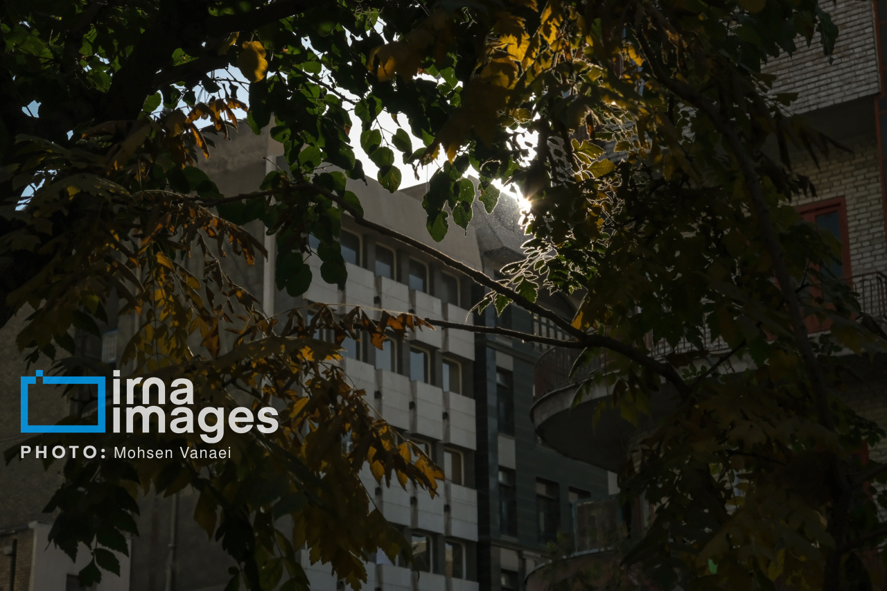 پاییز بی‌رنگ پایتخت