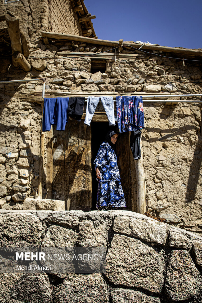 خشک کردن سنتی زردآلو