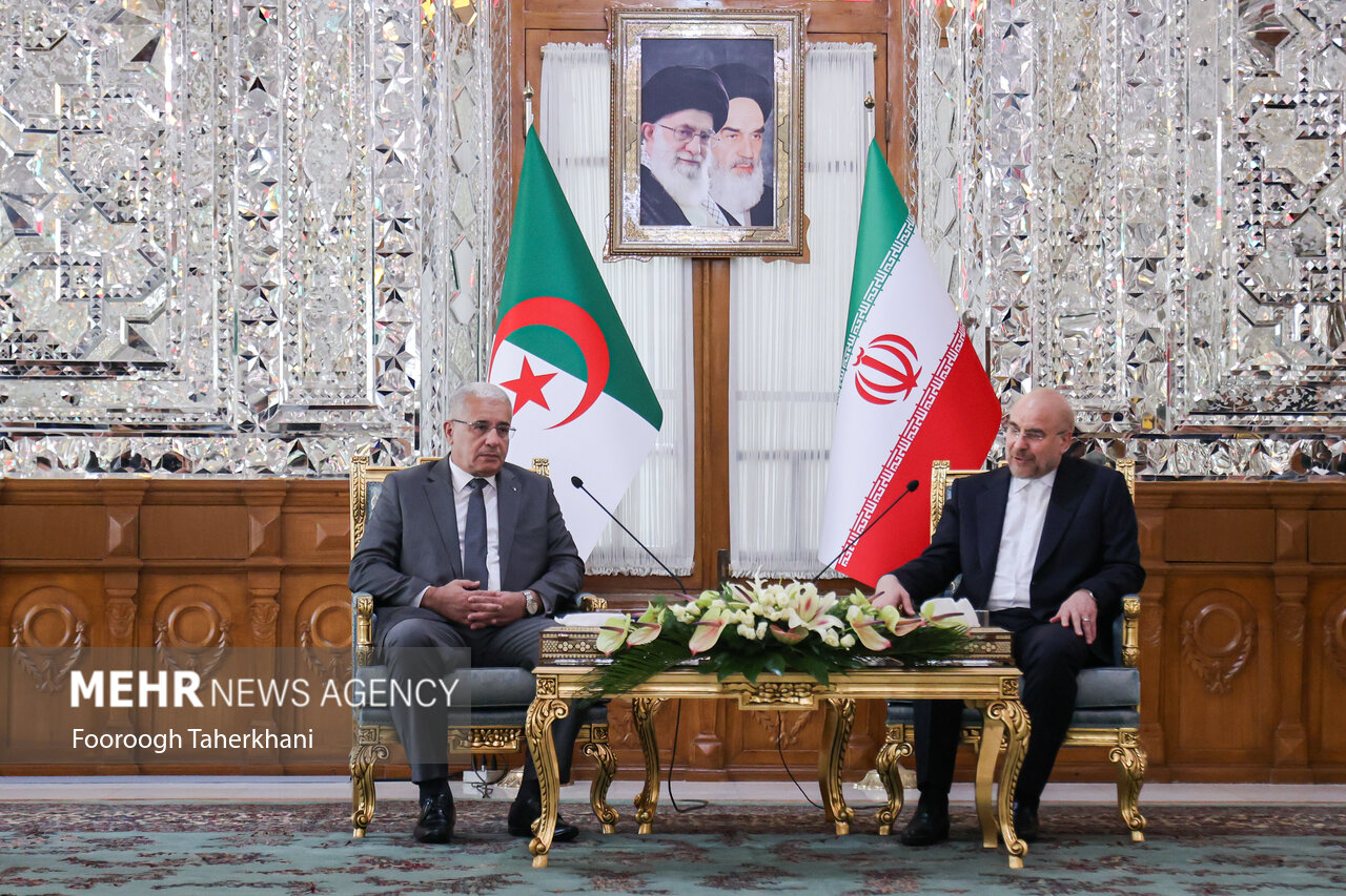  دیدار رییس مجلس ایران و الجزایر