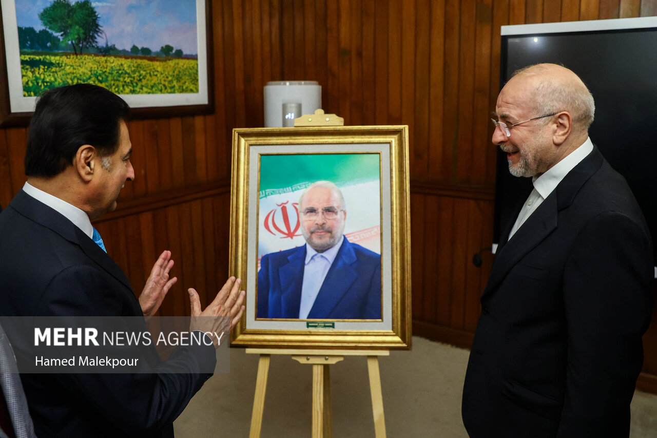 اولین روز سفر رئیس مجلس به پاکستان