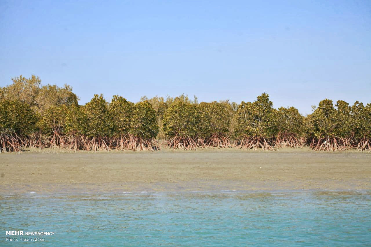 سواحل مکران