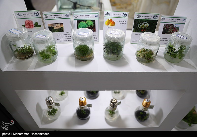 افتتاح نمایشگاه دستاوردهای جهاد دانشگاهی ۱۴۰۰ 