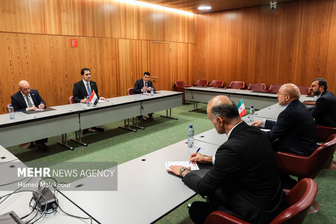 دومین روز سفر رئیس مجلس به ژنو